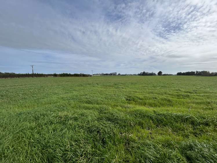 Matarikoriko Road Waitara_6