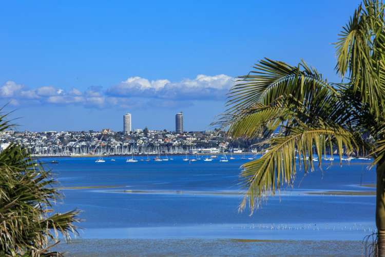 23 Walter Street Hauraki_6