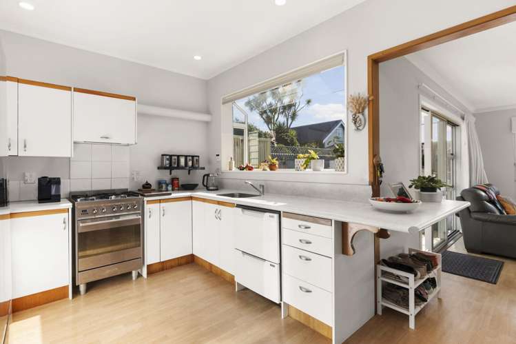 7 Pinnacle Street Seatoun_3