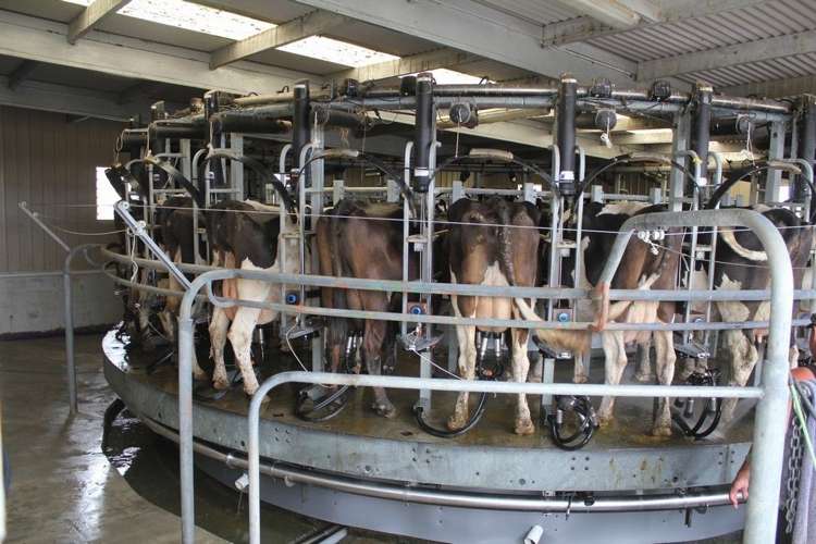 283 Oparakau Road Matakohe_0