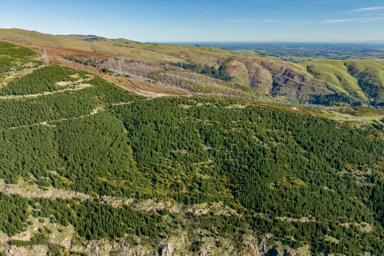 361 Worsleys Road Cashmere_13