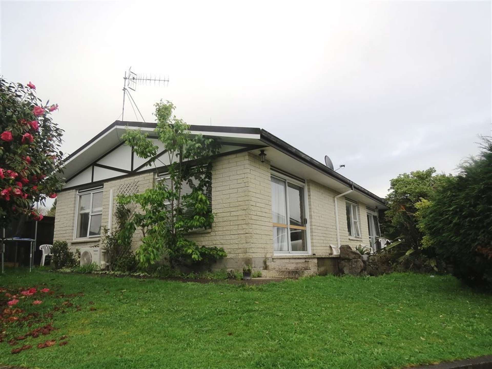 137 Cameron Road Te Puke_0