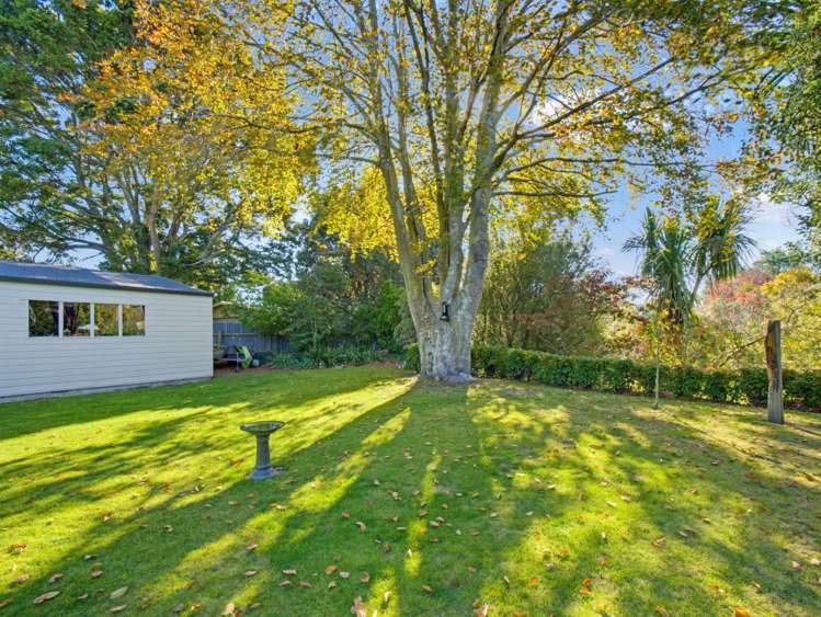 43 Norfolk Crescent Feilding_29
