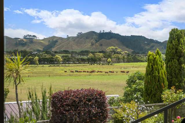 6 Hanlen Avenue Waihi Beach_4