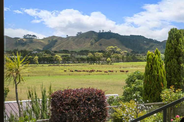 6 Hanlen Avenue Waihi Beach_4