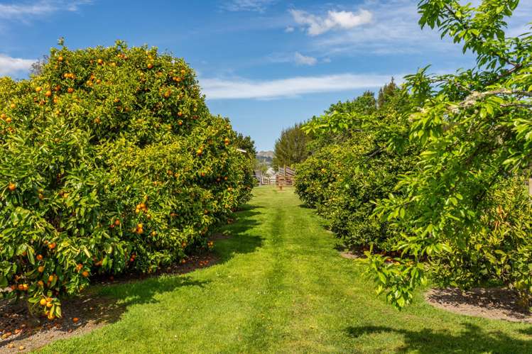 353 Te Aute Road Havelock North_22