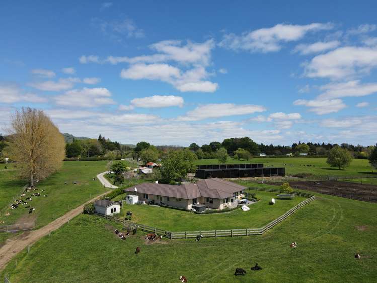 2/573 Tirau Road Cambridge_16