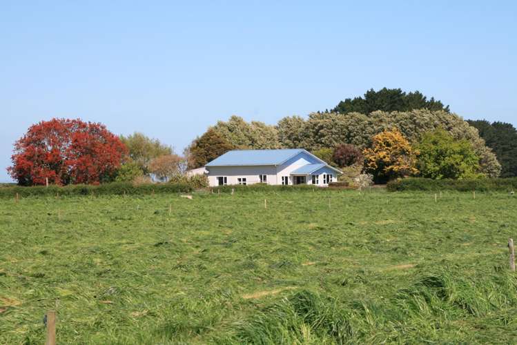 520 Lower Duthie Road Matapu_23