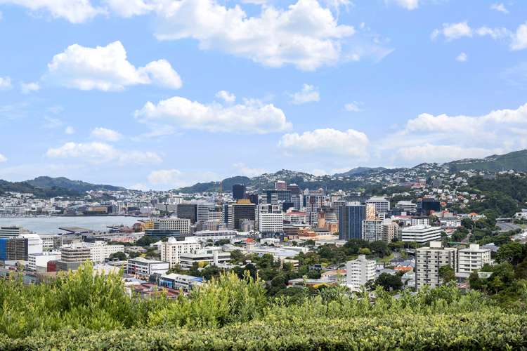 55 Barnard Street Wadestown_26