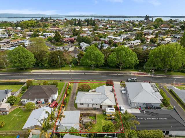 322 Ngatai Road Bellevue_3