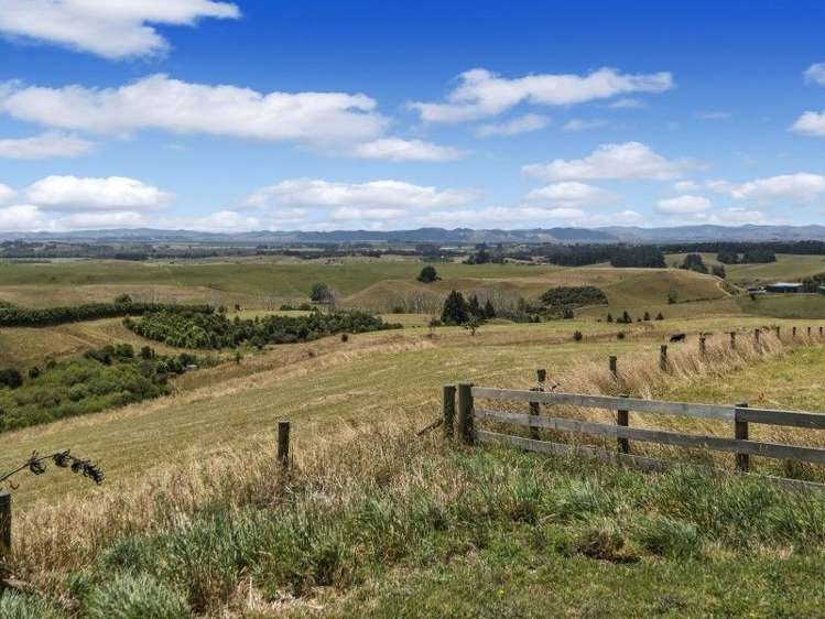 133 Morrison Road Pukekawa_11