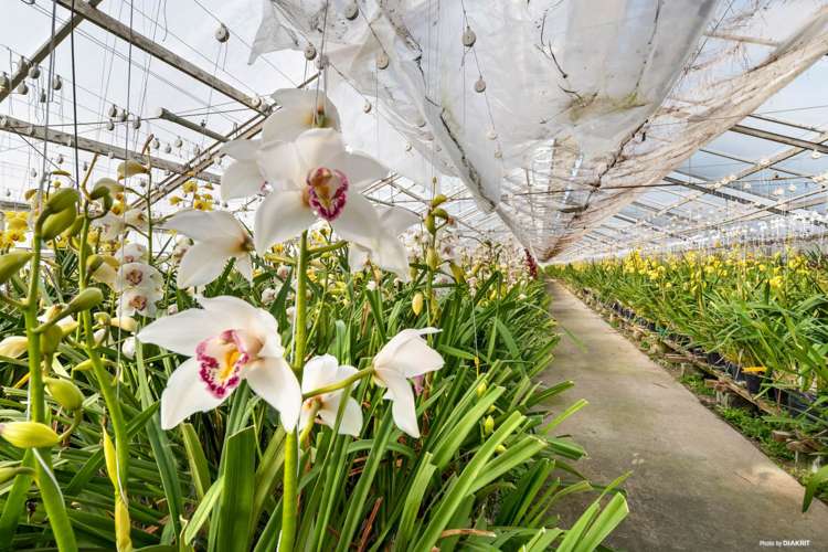 80 Orere-Matingarahi Road Orere Point_11