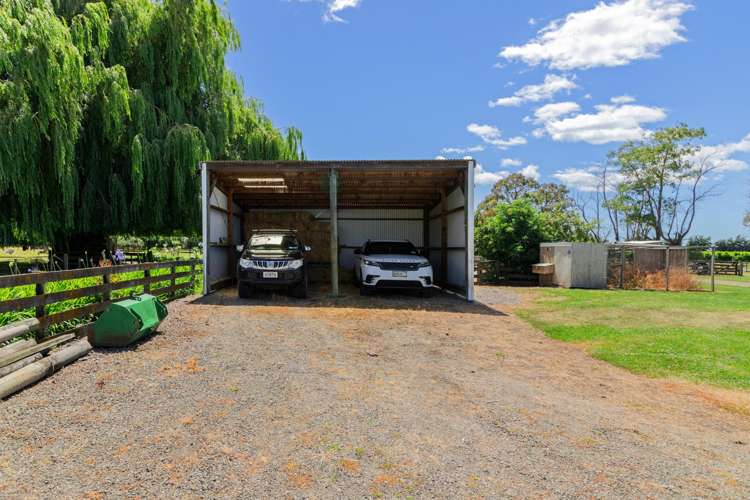 2D Ferry Road Spring Creek_29