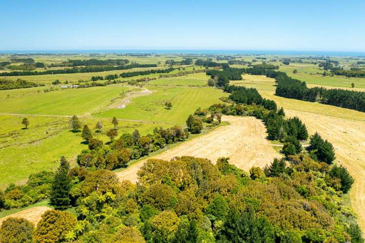 398 Wiremu Road Te Kiri_16