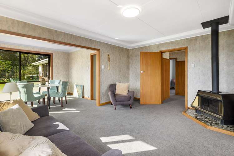 21 Watson Street Green Island_8