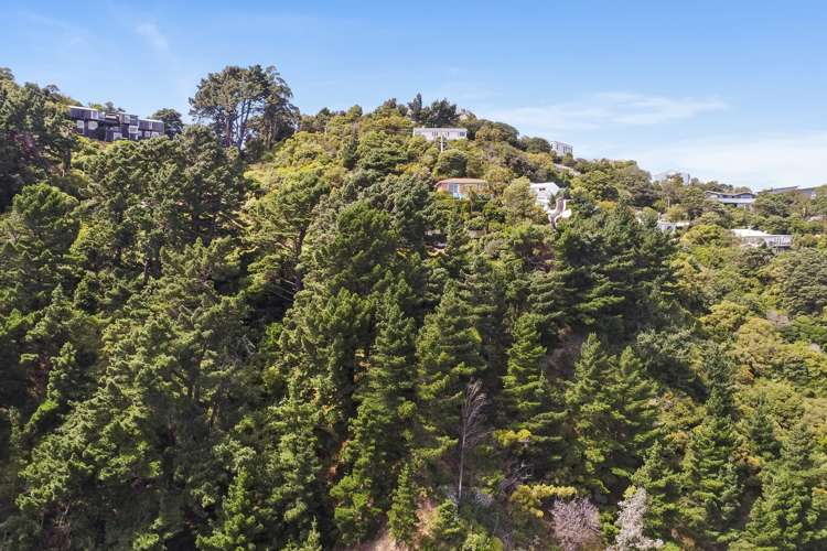 21 Nikau Road Point Howard_15