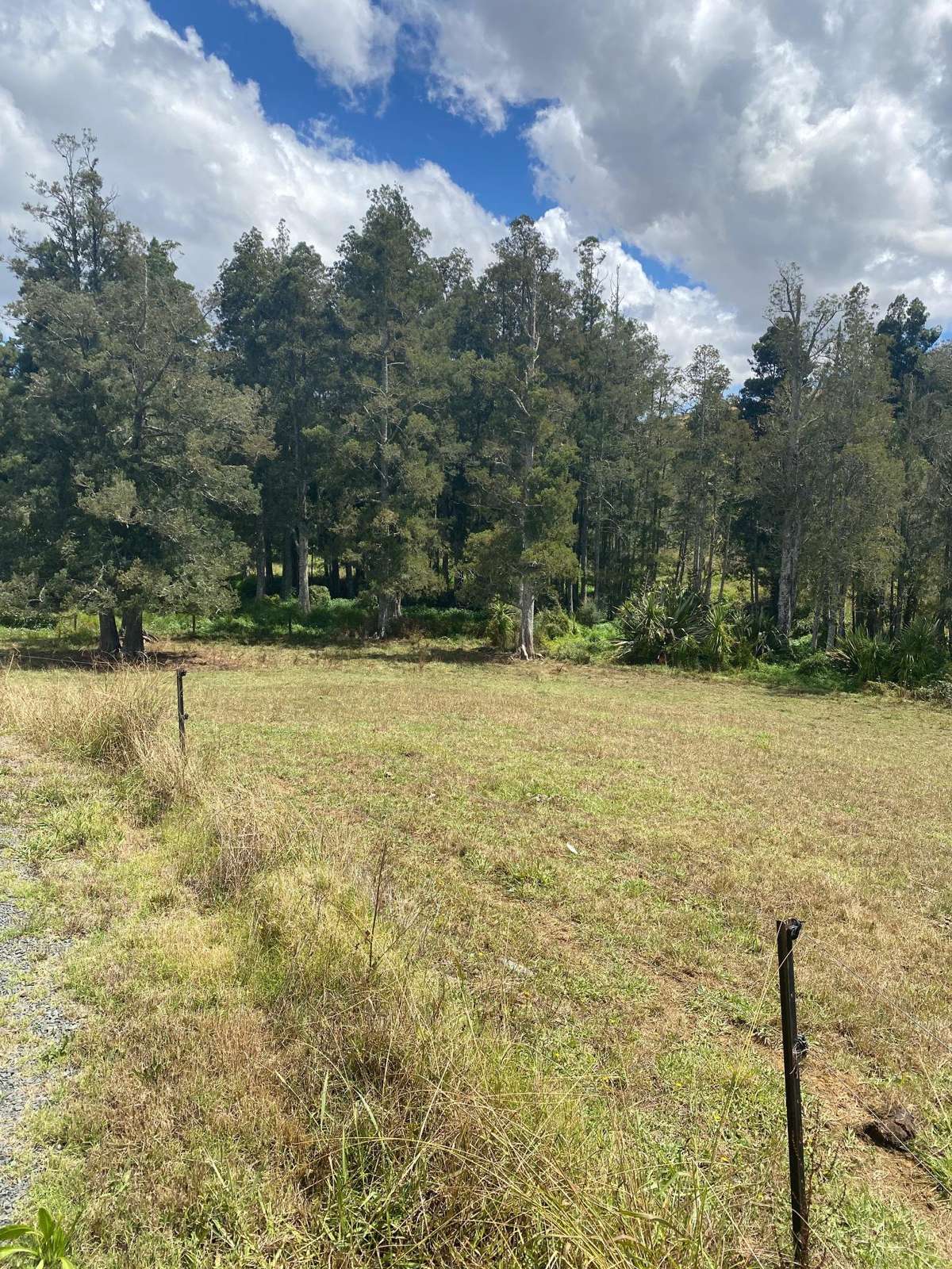 305 Waitetuna Valley Road_5