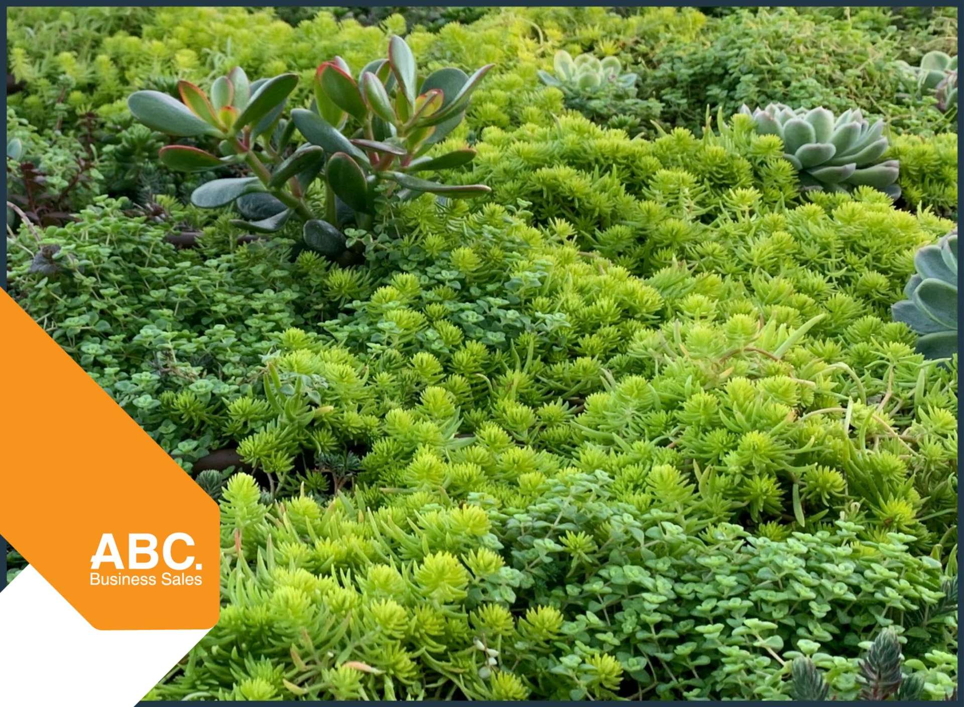 Address withheld Wellington Central_0