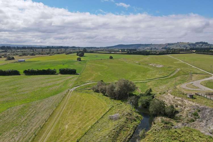 590 Ashley Road Summerhill_22