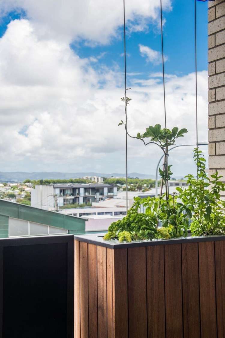 203/23a Pollen Street Grey Lynn_11