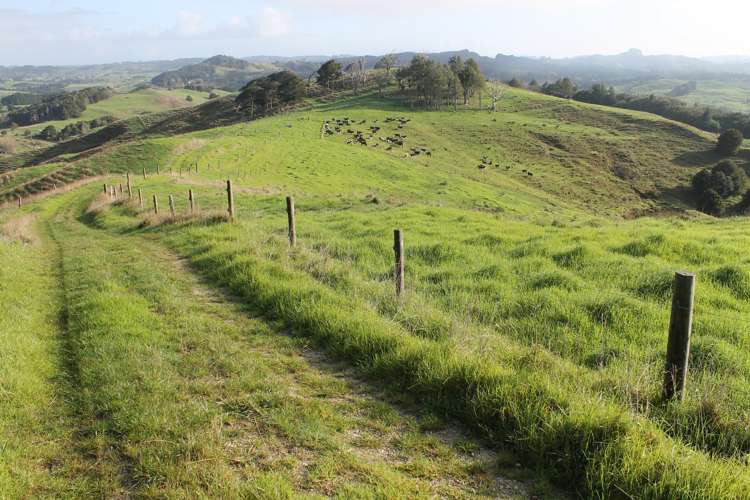 1311 State Highway 12 Maungaturoto_13