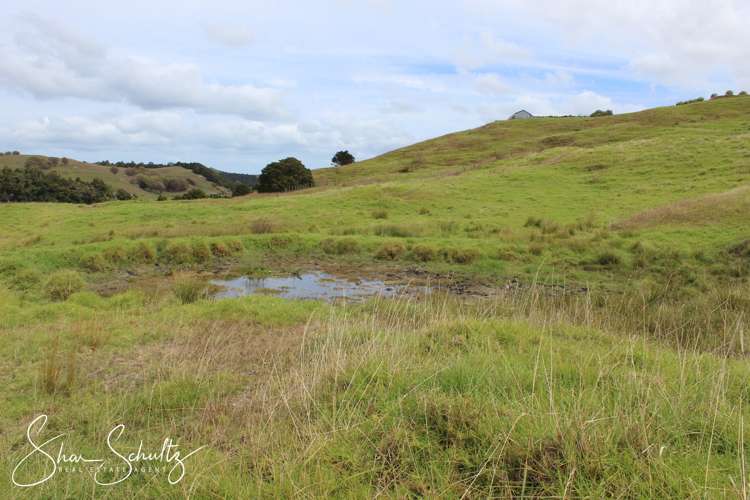 215c Heatley Road Whakapirau_12