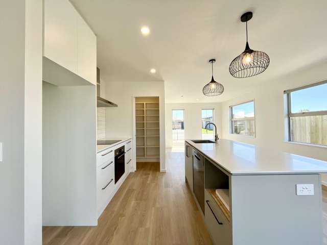 15 Larch Drive Rolleston_1