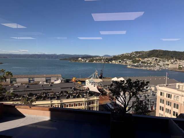 171 Featherston Street Wellington Central_4