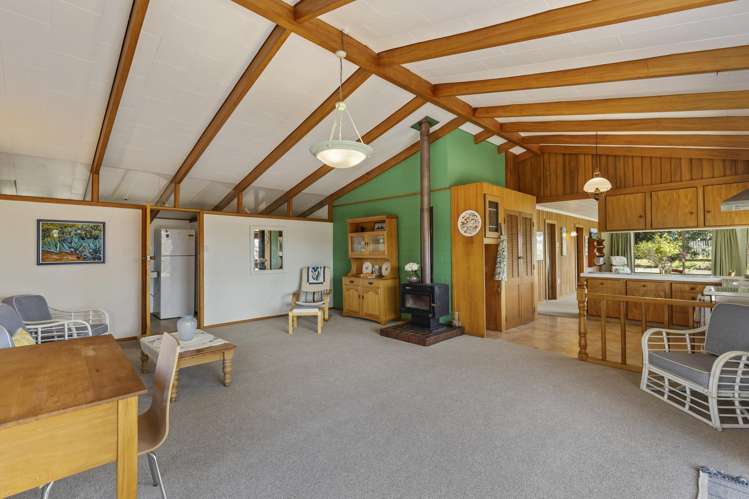 217 Smart Road Hillsborough_5