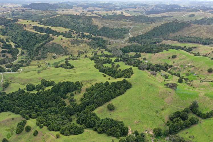 Lot 2/347 Porter Road Paparoa_20