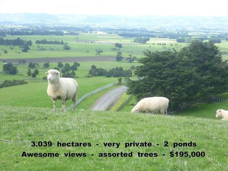 115 Chester Park Road Carterton_0