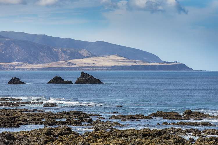 441 The Esplanade Island Bay_21