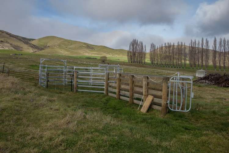 170 Ruffell Road Westland Surrounds_21