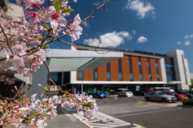 125 Ormiston Road Flat Bush_2