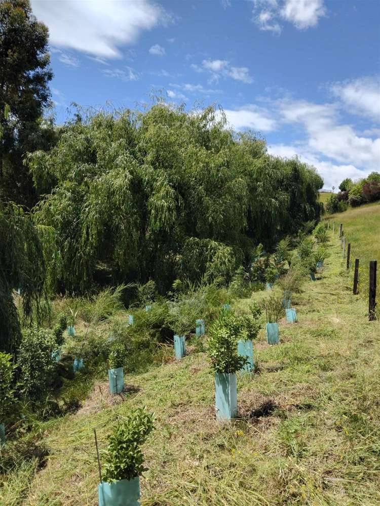 41 Harley Ridge Upper Moutere_12