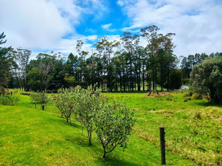 336 Spains Road Awanui_9