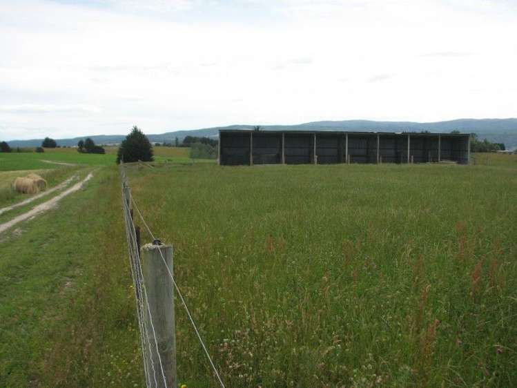 1463 Tuapeka West Road Lawrence_8