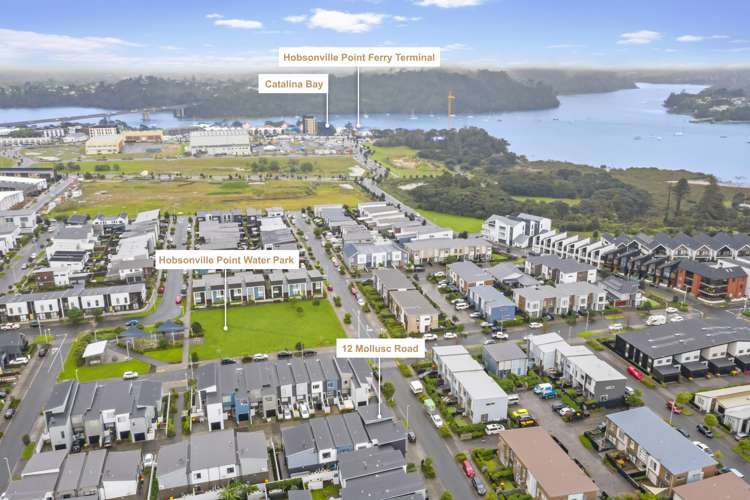 12 Mollusc Road Hobsonville_21