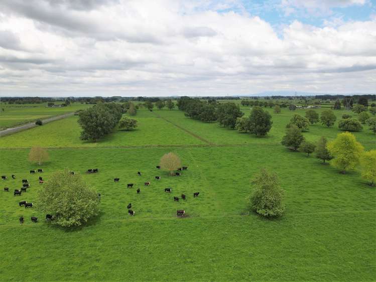 139 Taylor Road Gordonton_2