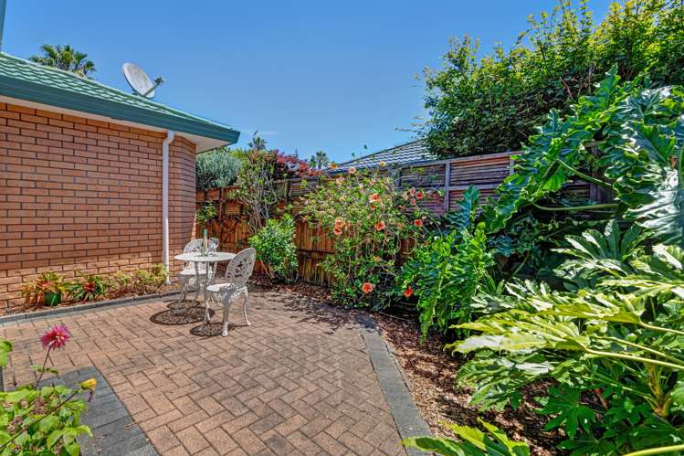 20 Red Hibiscus Road Stanmore Bay_19