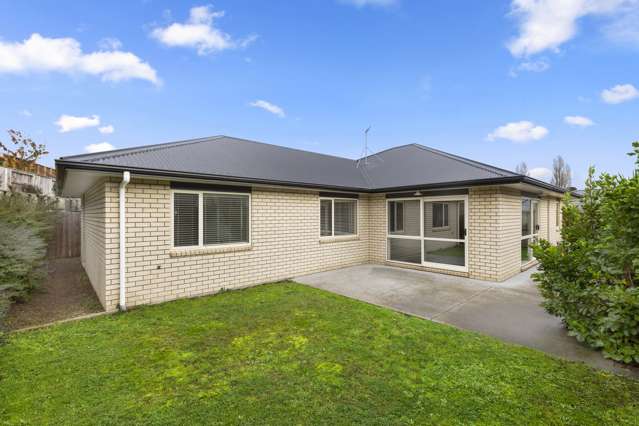 36 Tupelo Street Pukete_1