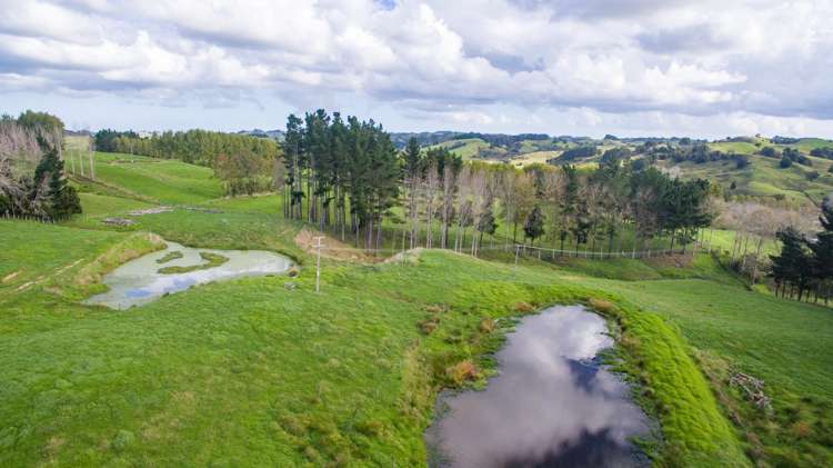 945 Waiotira Road Mangapai and Surrounds_6