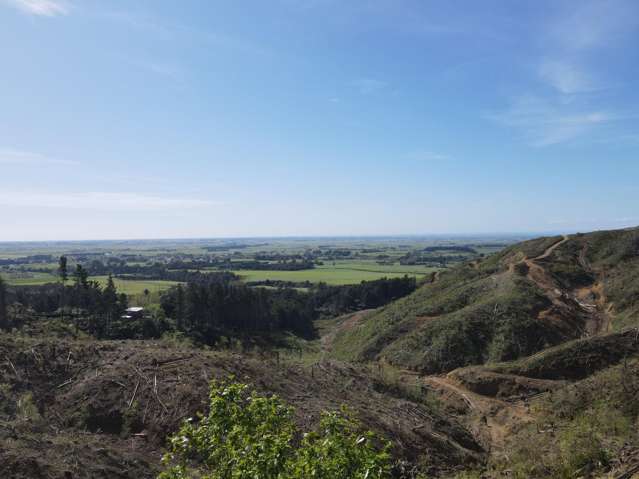 353 Pretoria Road Shannon_4