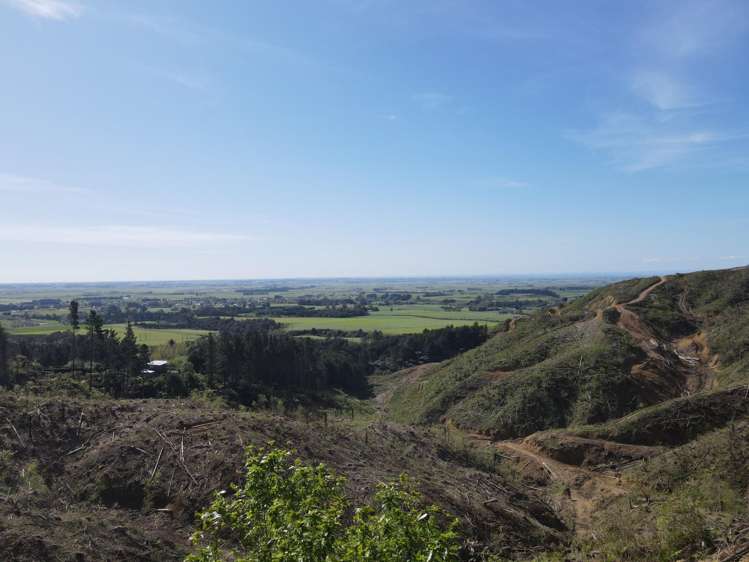 353 Pretoria Road Shannon_4