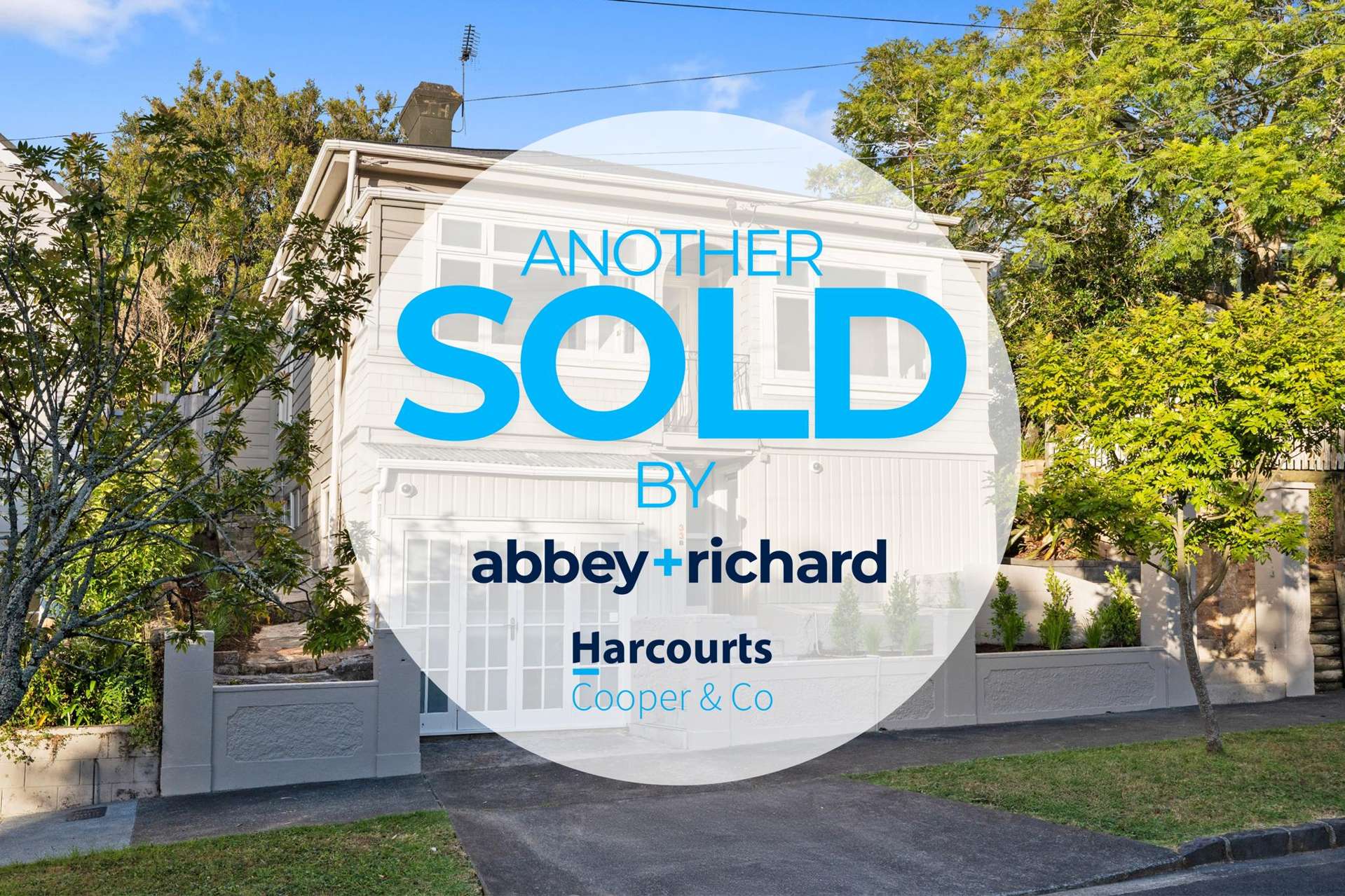33 Alexander Street Kingsland_0