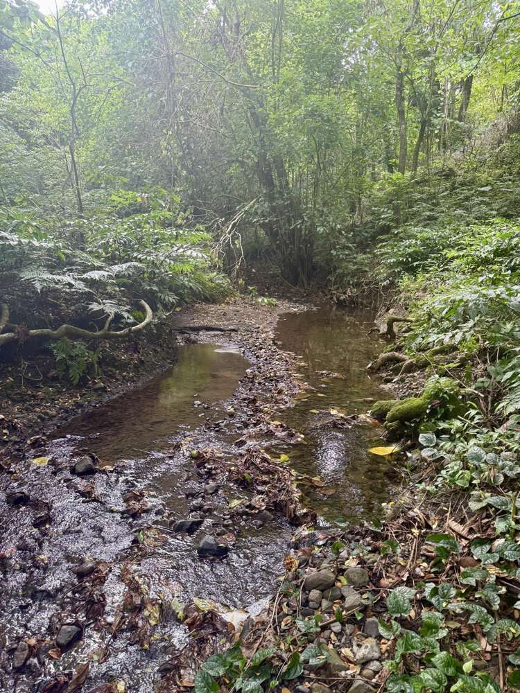 Lot 8 Navava Savusavu_9