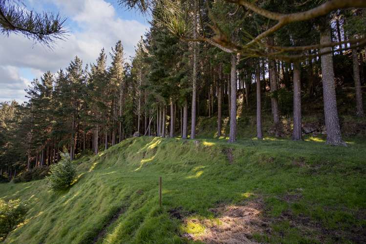 South Road Opunake_5