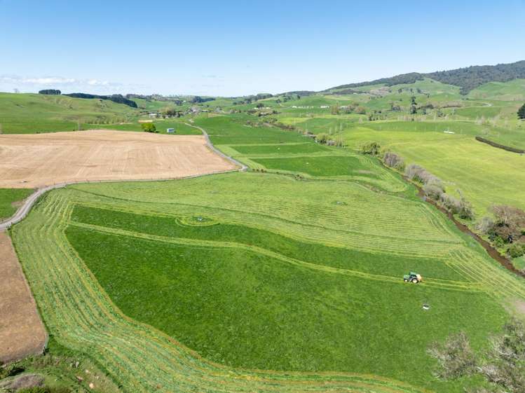231A Morgan Road Matamata_5