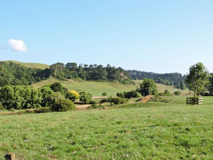 Taotaoroa Road Matamata_5