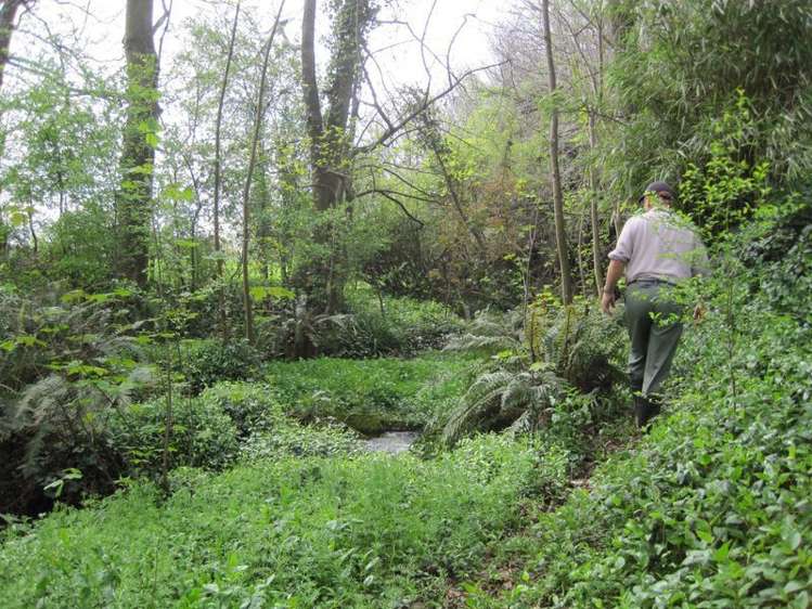 77 Main North Road Geraldine_30